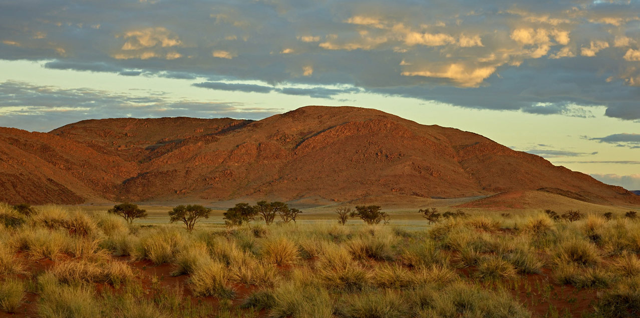 The Namib Rand region in the late afternoon. Note the small red dune in the foreground. Vegetation has established hold on the dune, and this will result in the dune becoming permanent over time.