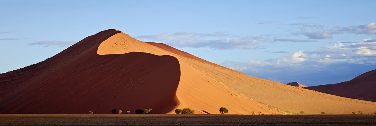 Sossusvlei: A large dune (approximately 1,000' high) in the late afternoon light.