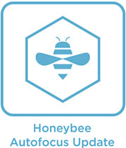 Honeybee XF Upgrade Logo